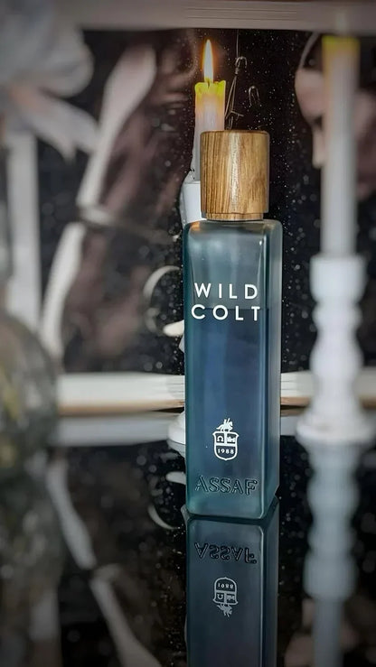 Wild Colt and Gris Erik